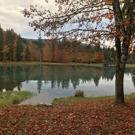 Chalet Alliance Entre Calme Et Plaisir Villa Morillon Exterior foto