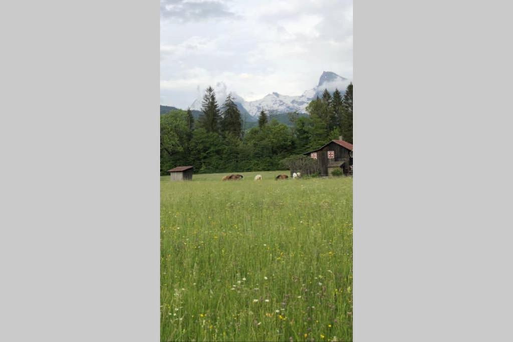 Chalet Alliance Entre Calme Et Plaisir Villa Morillon Exterior foto